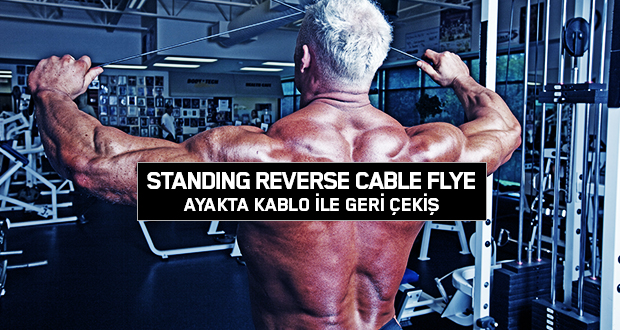 Standing Reverse Cable Flye