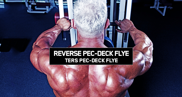 Reverse Pec-Deck Flye
