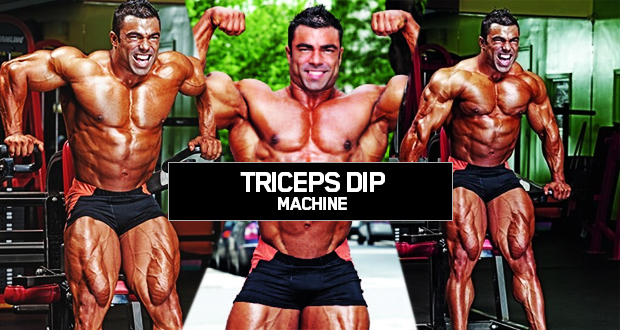 Triceps-Dip-Machine