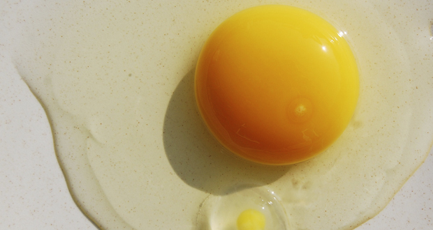 Yumurtanın yarısı …