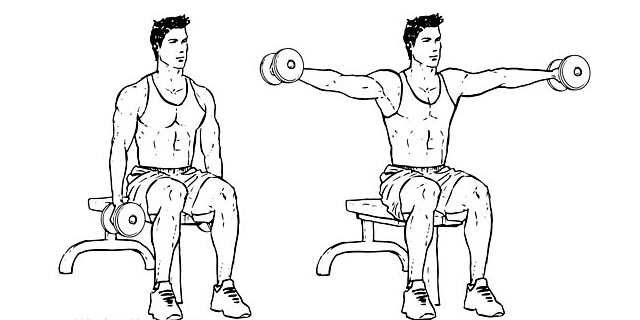 Seated-Side-Lateral-Raise-2